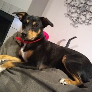 Meet your Posher, Ken